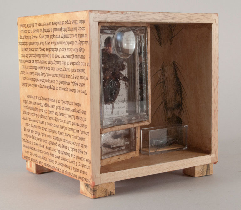Tarantula Box